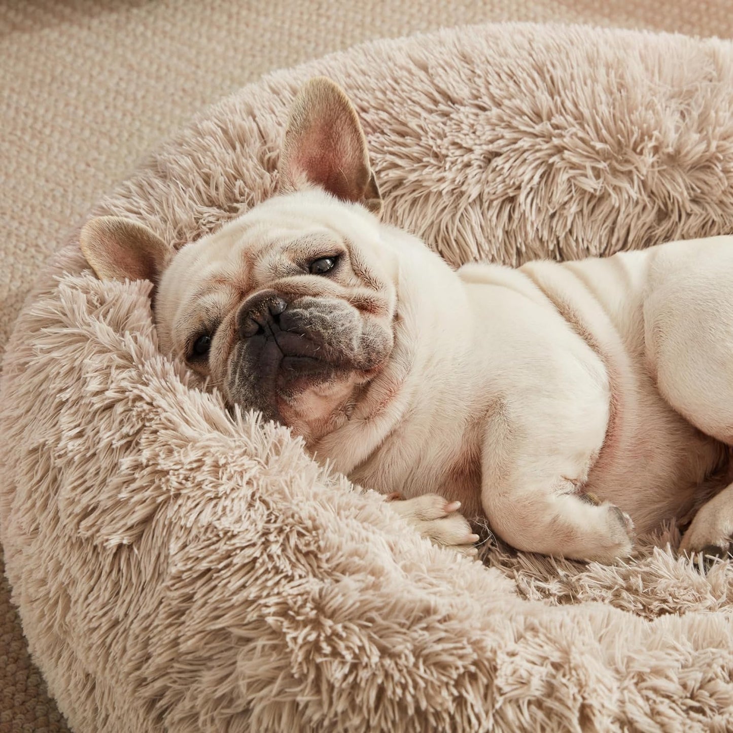 Calming Dog & Cat Bed, Anti-Anxiety Donut round for Indoor Cats, Small Medium Dogs, Fluffy Warming Pet Bed, Beige Taupe 20"/24"