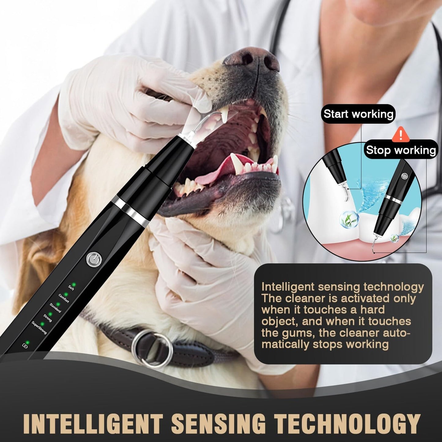 Ultrasonic Tooth Cleaner for Dogs, Dog Teeth Plaque Remover Pets Dental Care ...